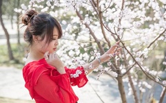 三级伦理在线电影日本